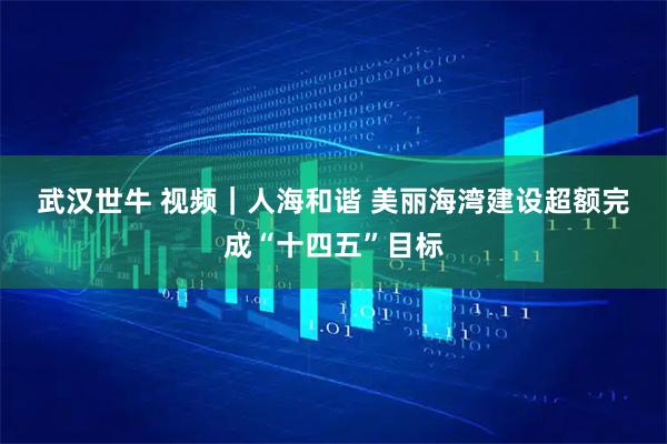 武汉世牛 视频｜人海和谐 美丽海湾建设超额完成“十四五”目标