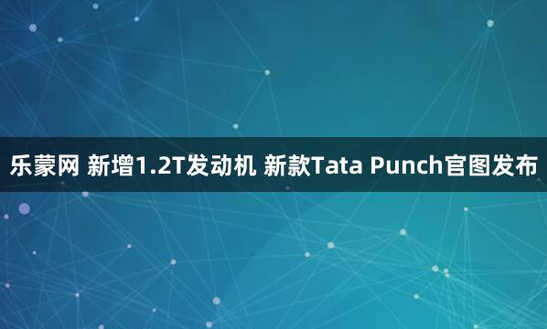 乐蒙网 新增1.2T发动机 新款Tata Punch官图发布